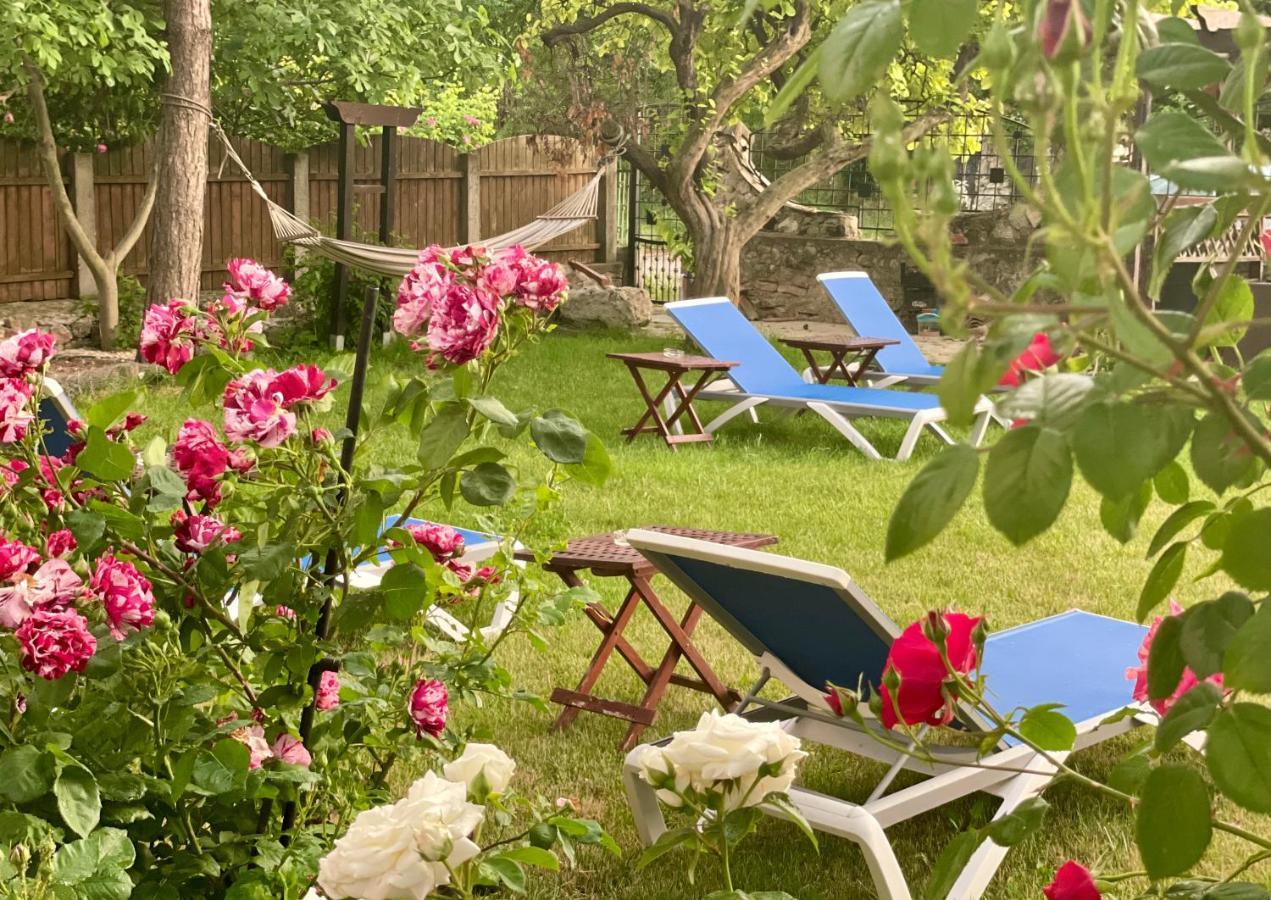 Bed and Breakfast Vamabel House Vama Veche Exterior foto