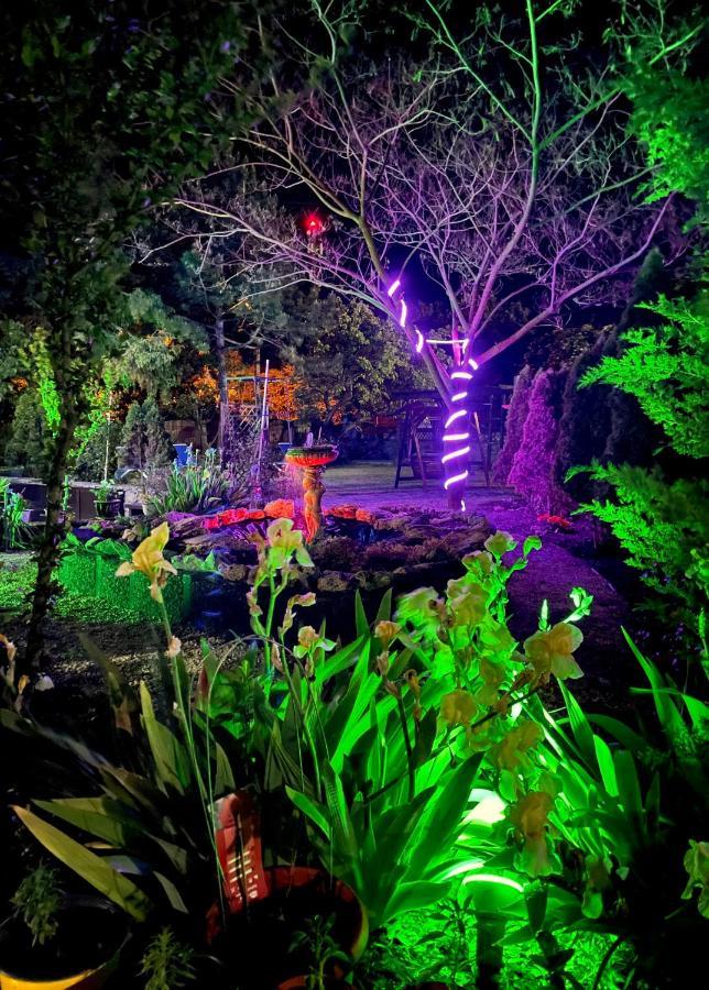 Bed and Breakfast Vamabel House Vama Veche Exterior foto