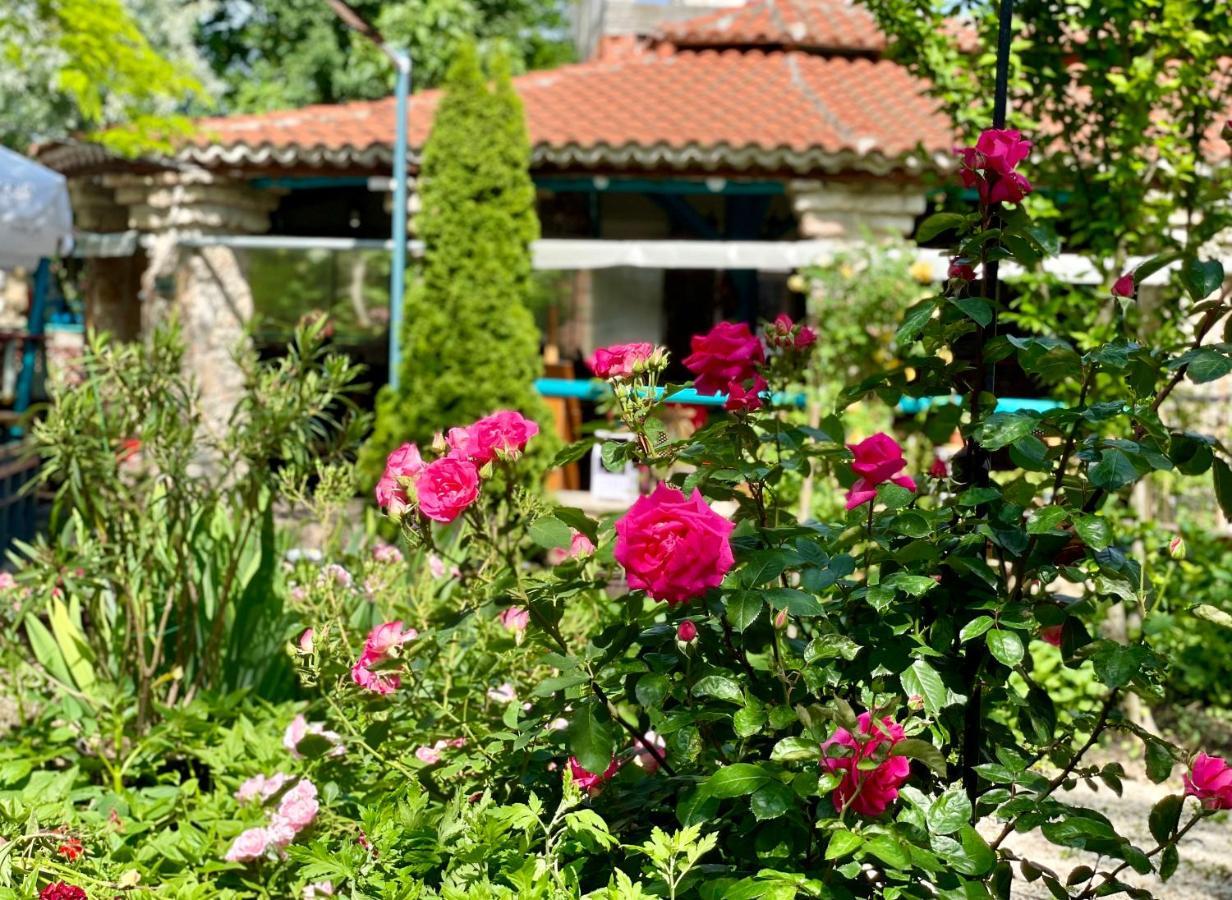 Bed and Breakfast Vamabel House Vama Veche Exterior foto