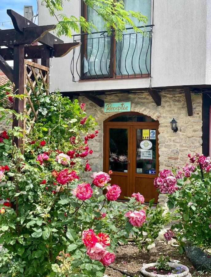 Bed and Breakfast Vamabel House Vama Veche Exterior foto