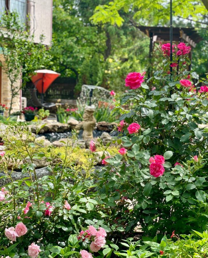 Bed and Breakfast Vamabel House Vama Veche Exterior foto