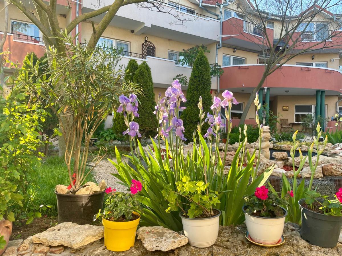Bed and Breakfast Vamabel House Vama Veche Exterior foto